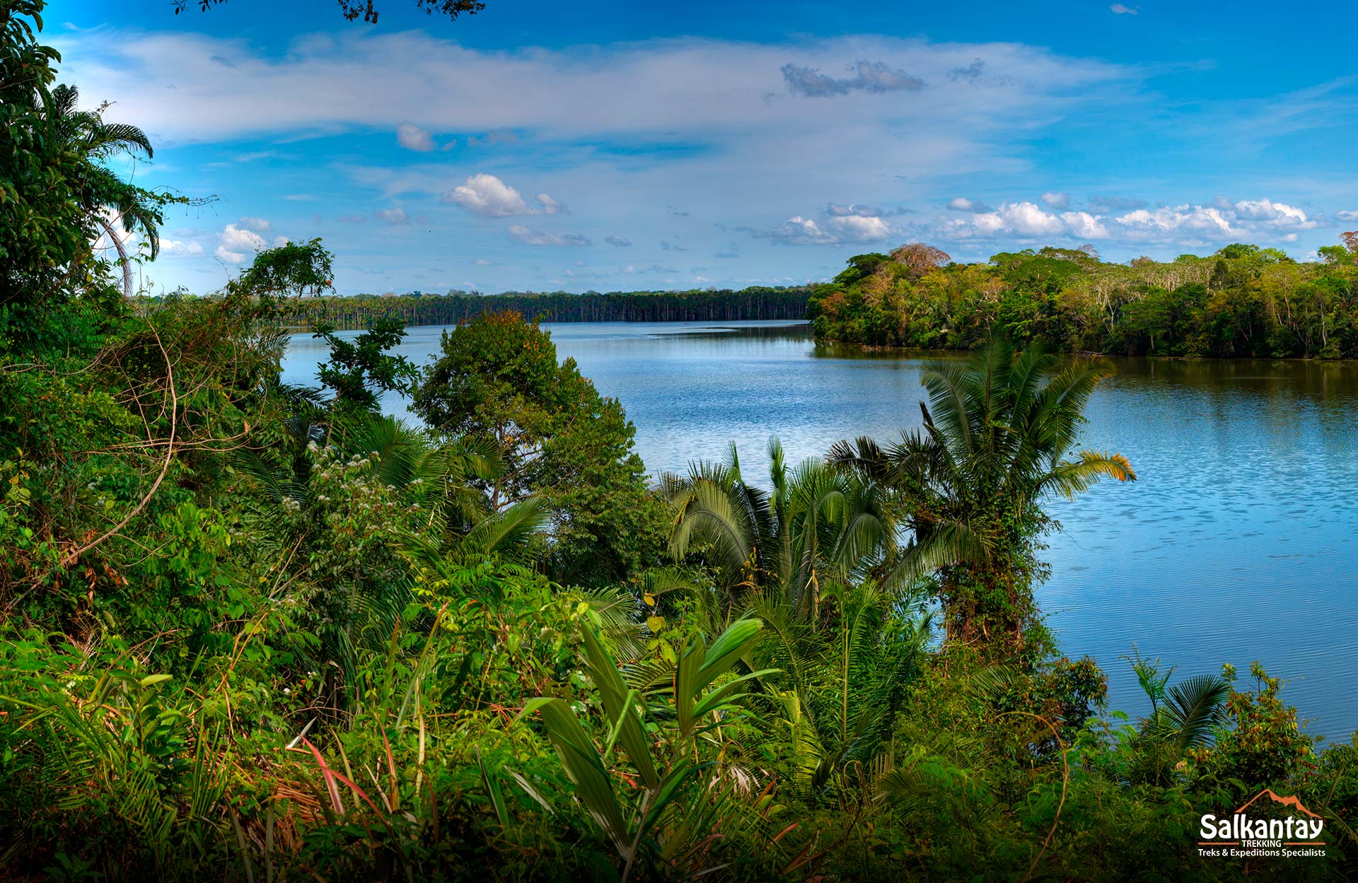 El encanto de los Bosques en Perú Paisajes y Biodiversidad en la