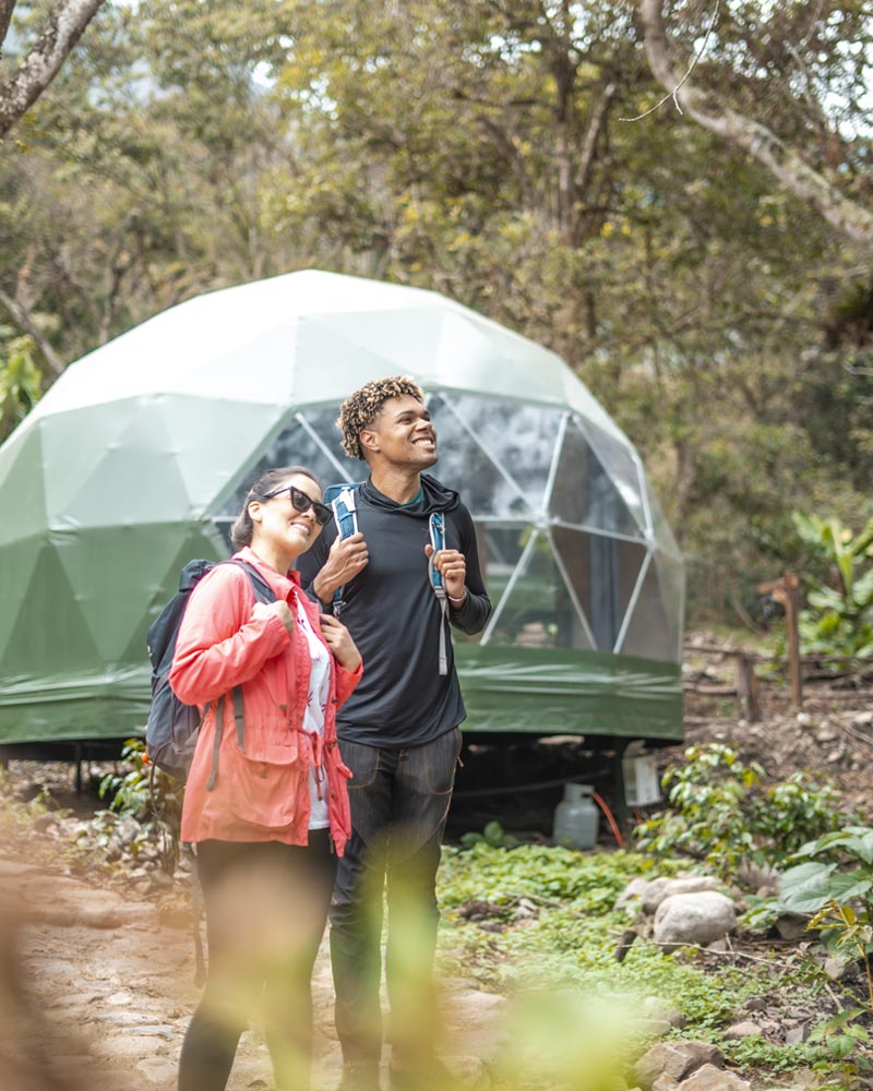 Campamentos exclusivos | Super Jungle Domes