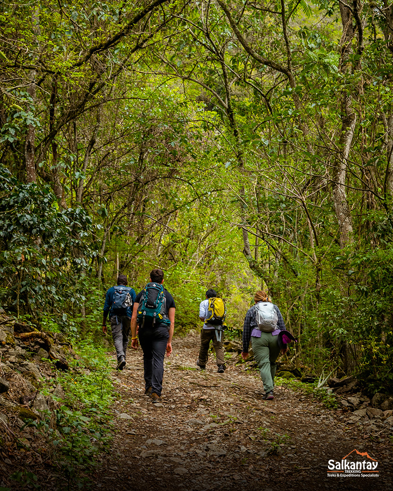 Turistas y su guía en la selva andina de la Ruta Inca Jungle