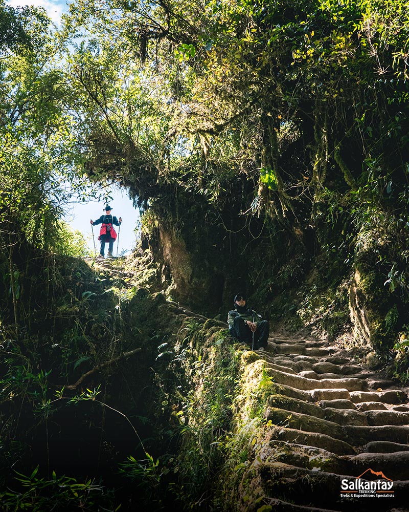 Exuberante vegetación a lo largo del Camino Inca