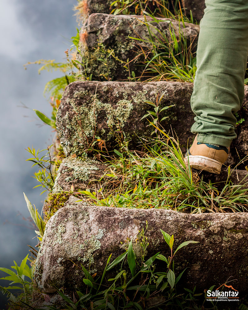 Camino de piedra hacia Wayna Picchu