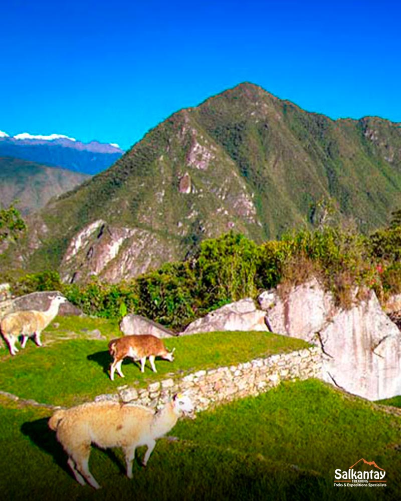 Temporada de secas en Machu Picchu