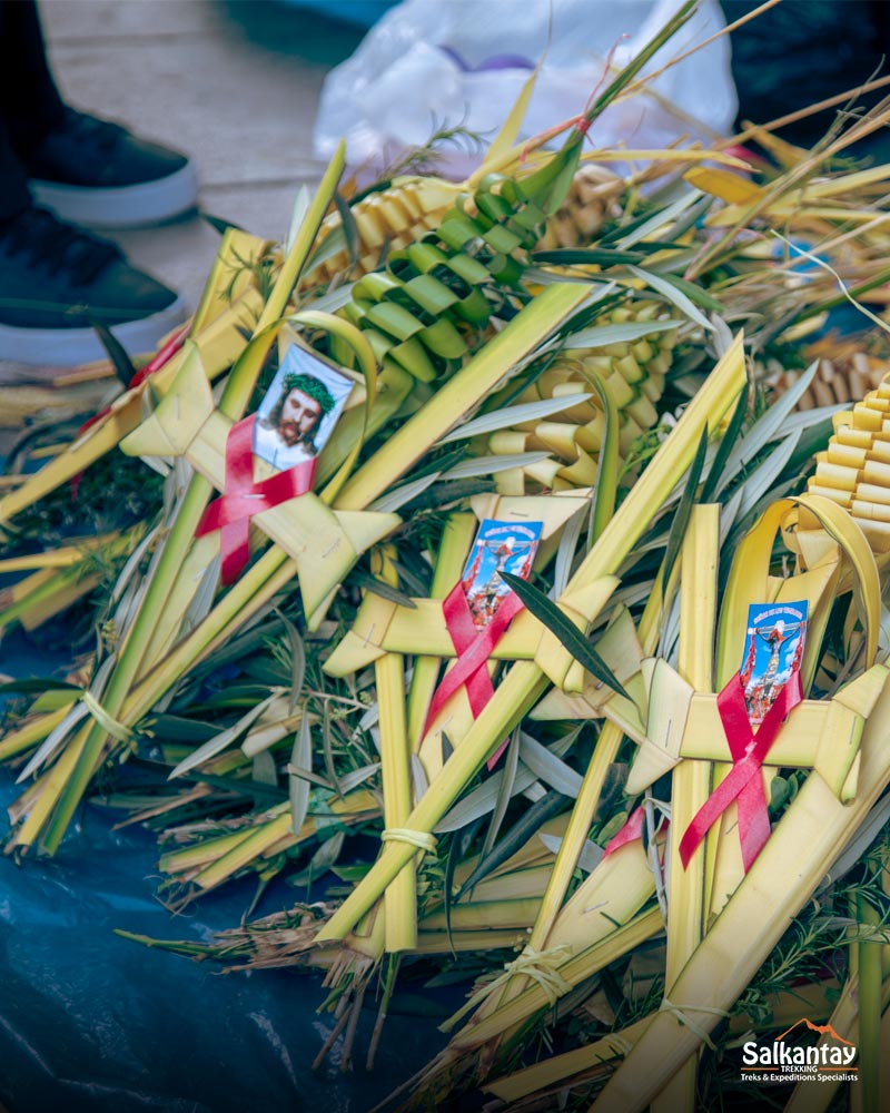 Fotografía de las palmas de olivo en Cusco