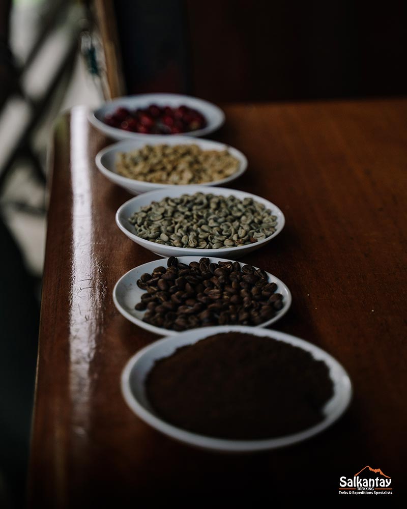 Proceso de producción del café