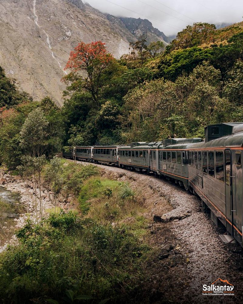 Tren Inca Rail