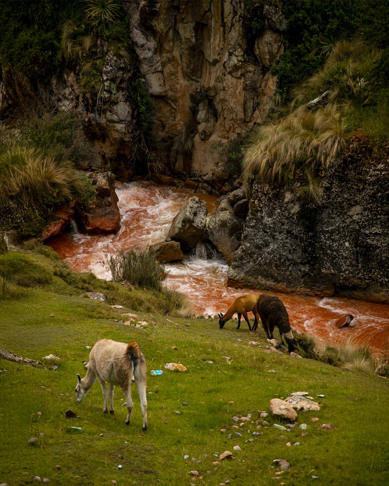 El impresionante río Rojo en la ruta de la montaña de colores de Palccoyo