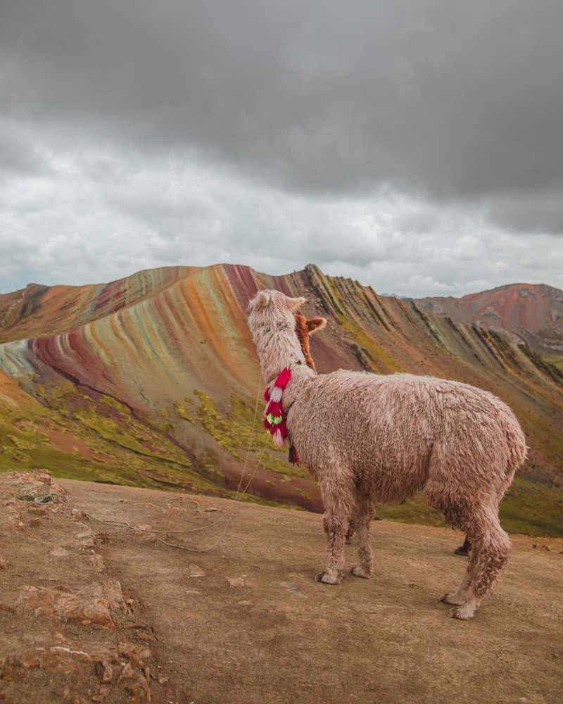 Palcoyo la montaña de colores más famosa de Perú
