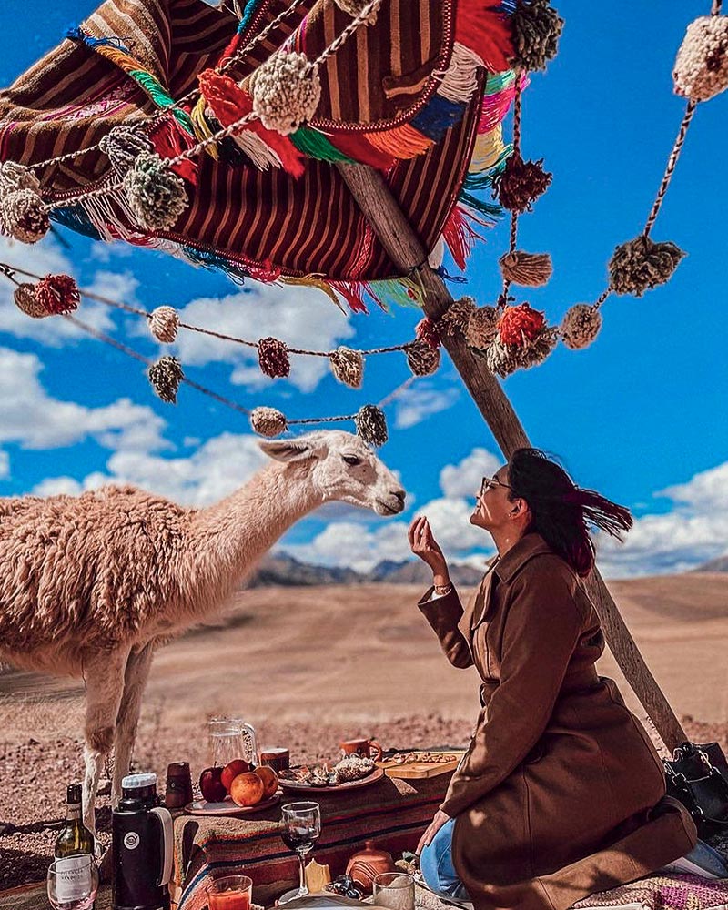 Mujer junto a una llama en un picnic en el Valle Sagrado