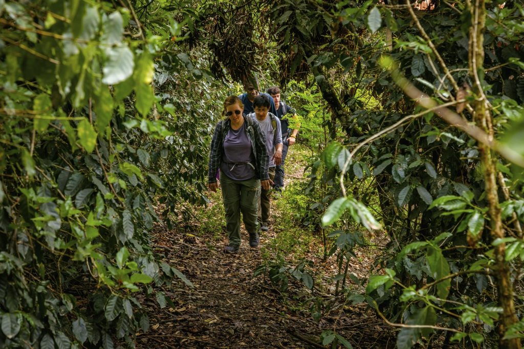 Grupo de turistas haciendo senderismo en la selva.