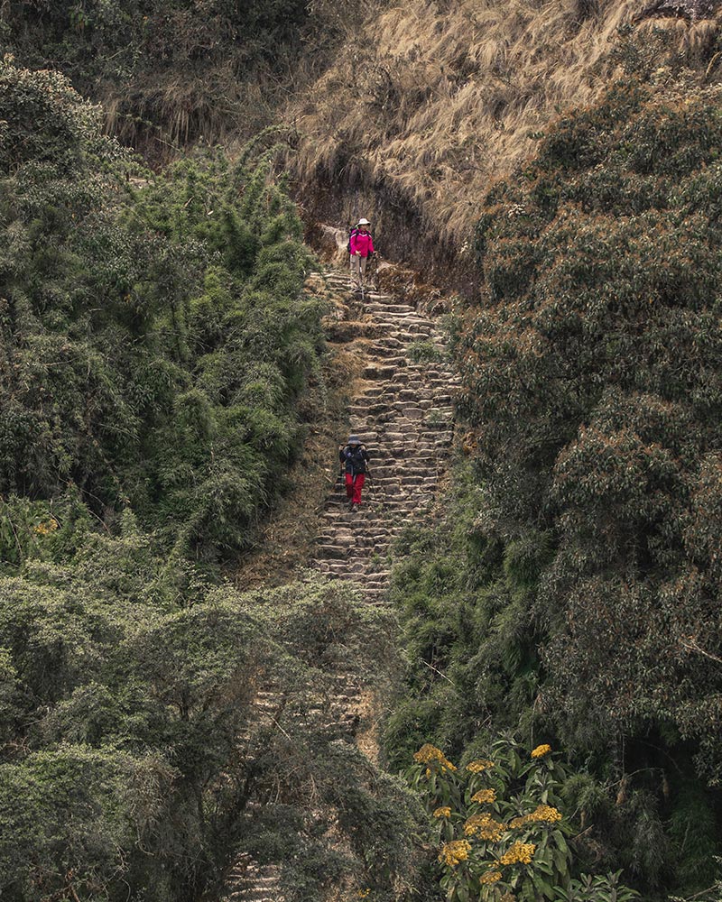 Turista por el Camino Inca