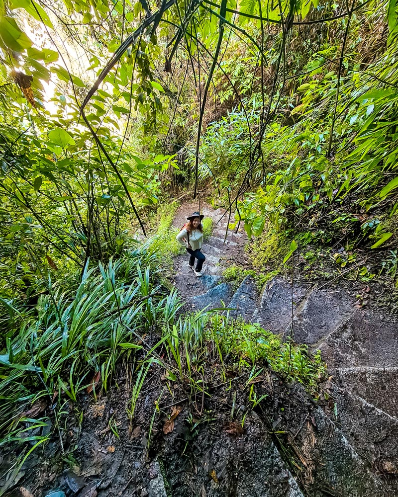 Caminata a Machu Picchu
