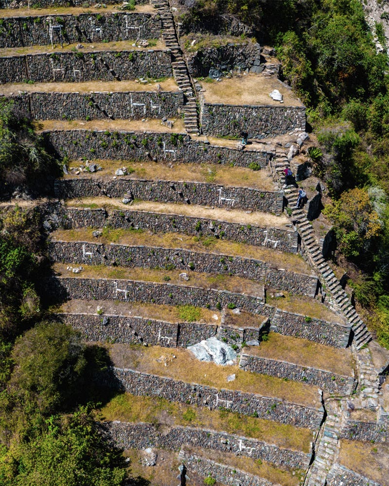 Las terrazas de llamas de Choquequirao