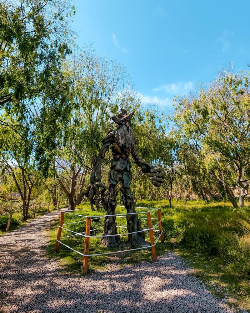 Humedal de Huasao