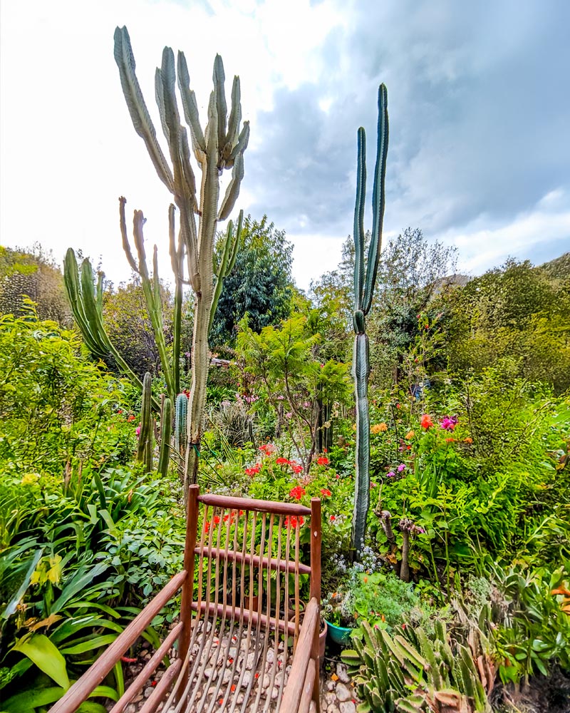 Jardín Botánico: Felipe Marín Moreno en Pisac