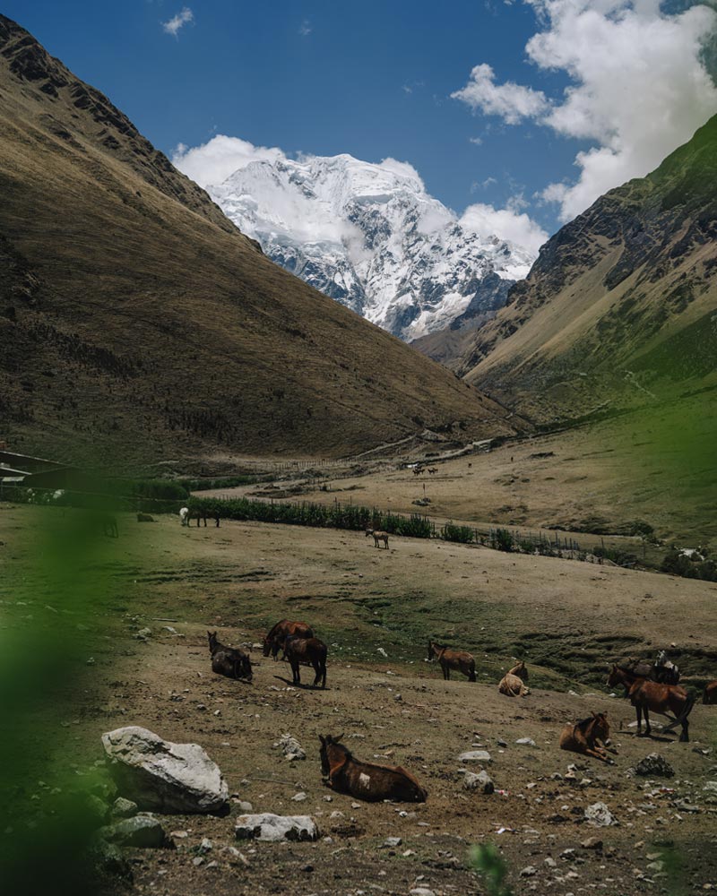 Vista panorámica del campamento de Soraypampa con la montaña Salkantay al fondo.