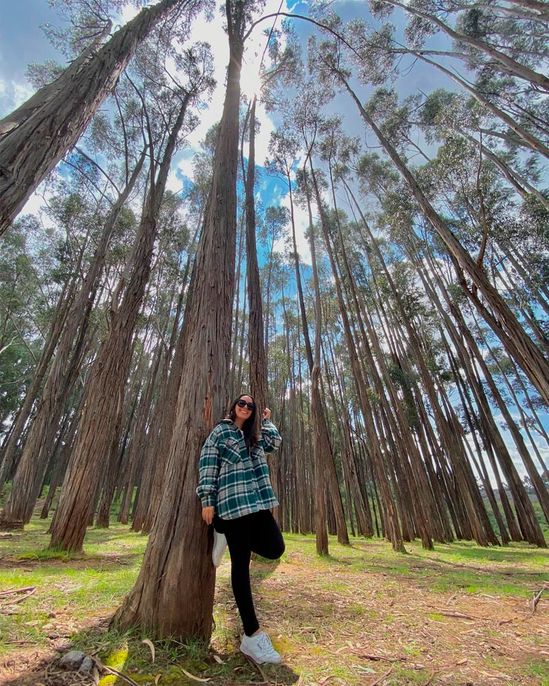 El Bosque de Q’enqo | @andreasophiani
