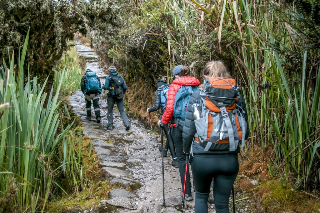 Turistas en el Camino Inca