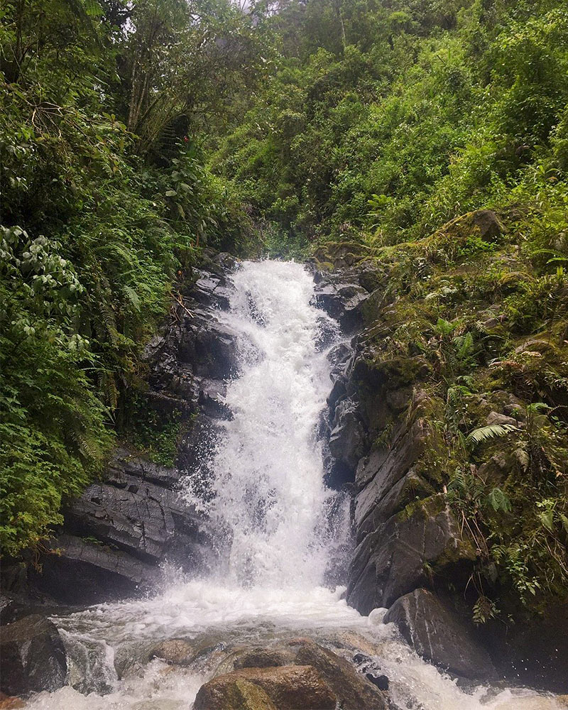 Las Cascadas de Allcamayo