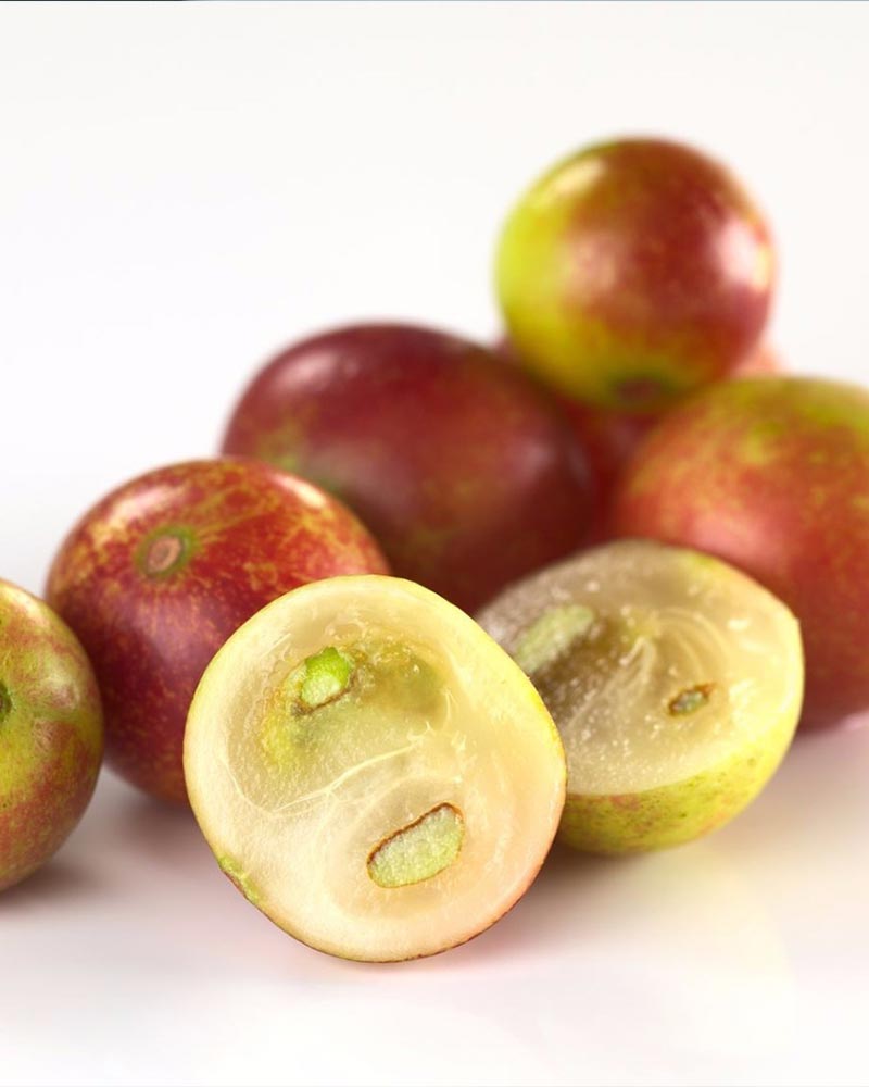 Camu Camu