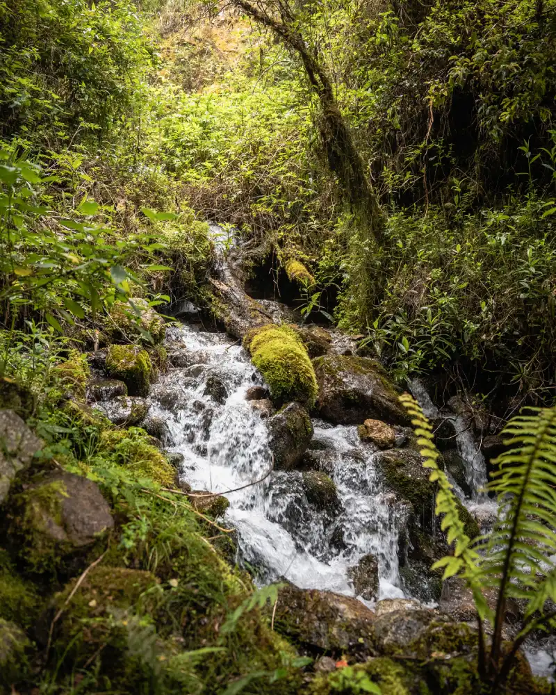 Paisajes en el Camino Inca, una cascada de agua con abundante vegetación