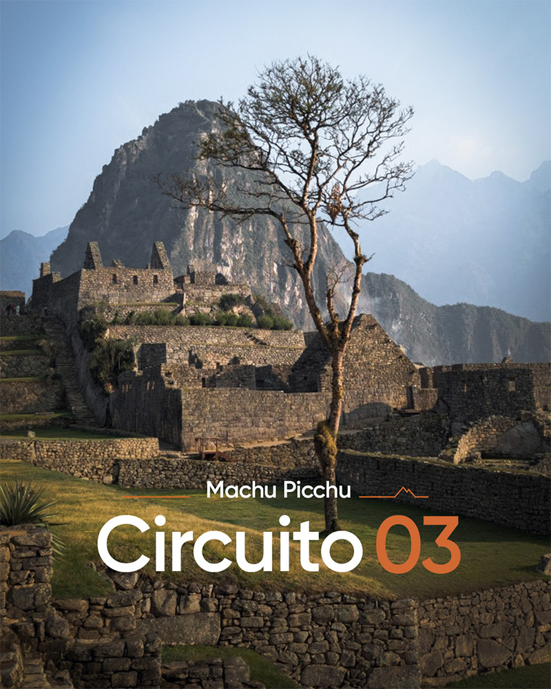 Foto de Machu Picchu en el Circuito 3, con el arbol Pisonay y la montaña Huayna Picchu de fondo
