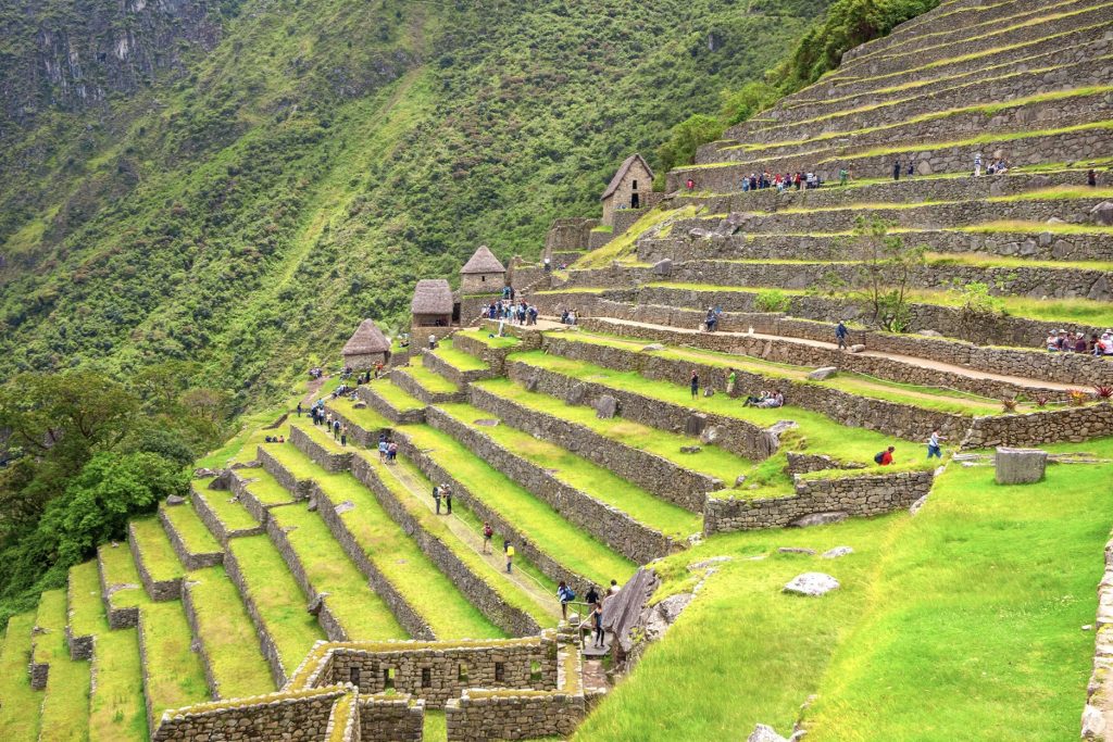 Fotografia de los andenes que conformaban la zona agricola en Machu Picchu