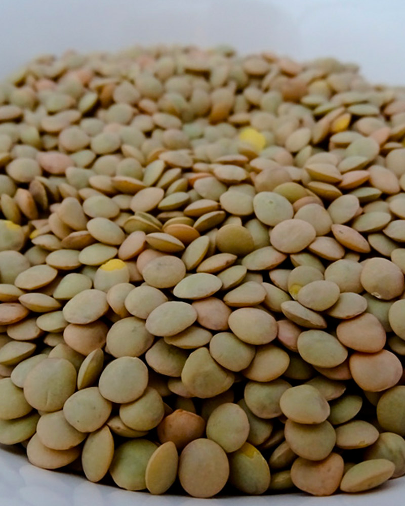 Lentejas de Año nuevo