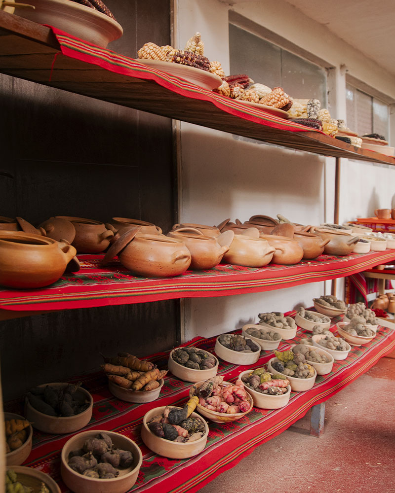 Variedad de maíz y papa en el Valle Sagrado