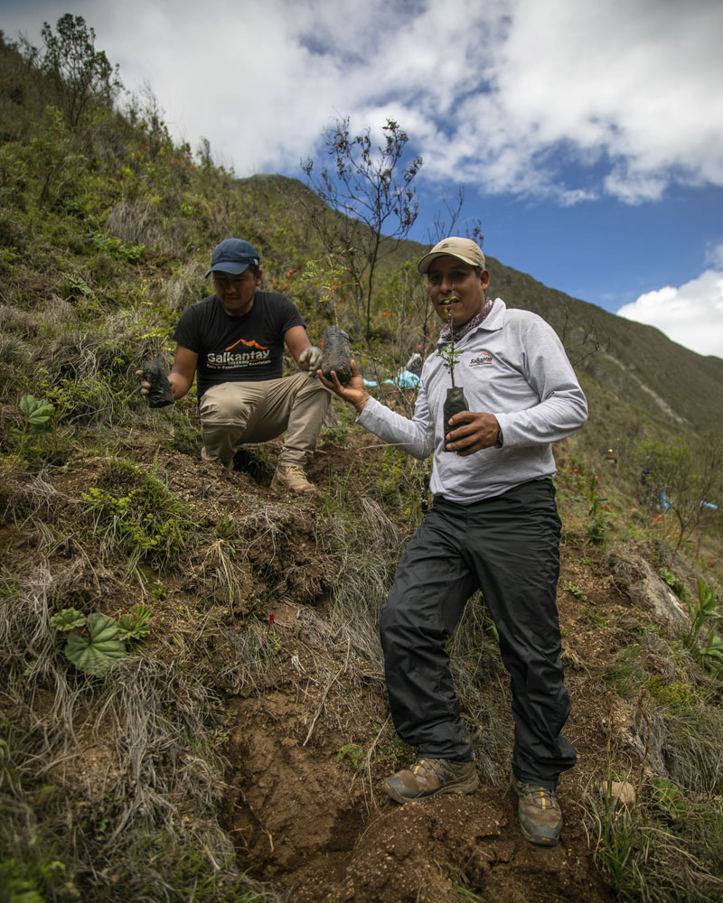 Campaña de Plantación y reforestación
