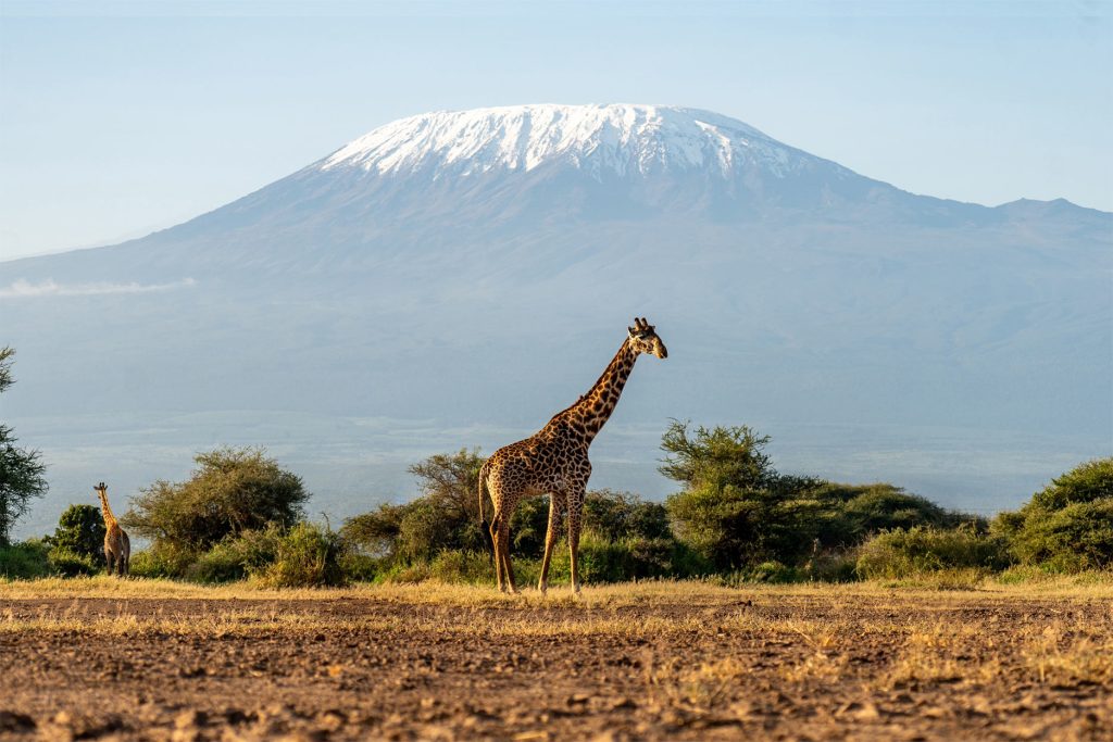 Monte Kilimanjaro, Tanzania