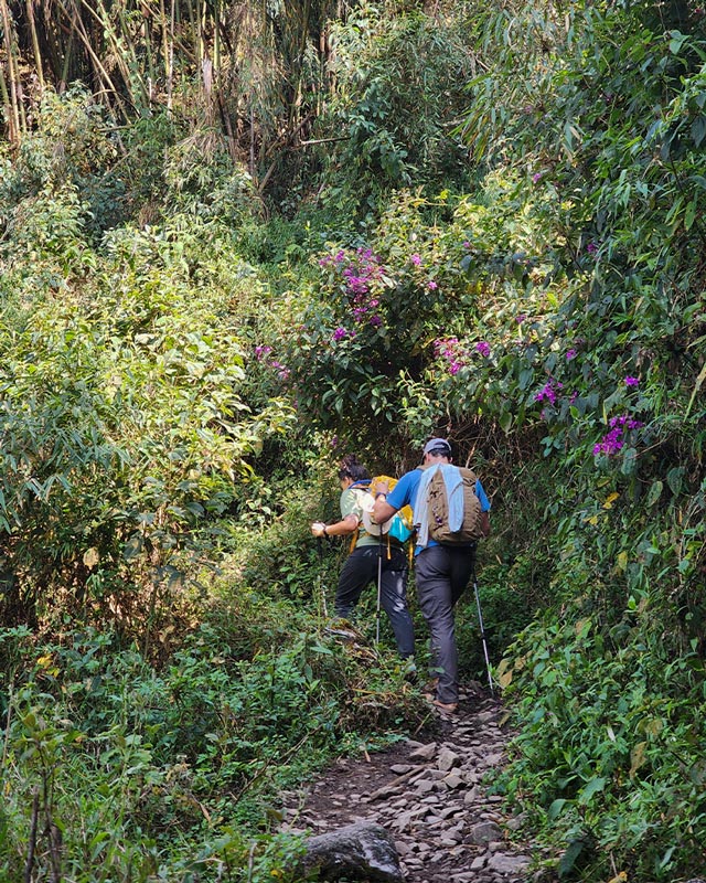 Caminando por la selva tropical hasta Choquequirao