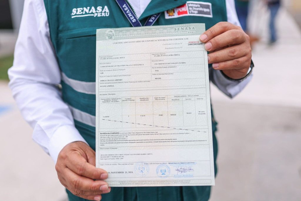 Pasaporte de mascota y certificado veterinario oficial con sellos.