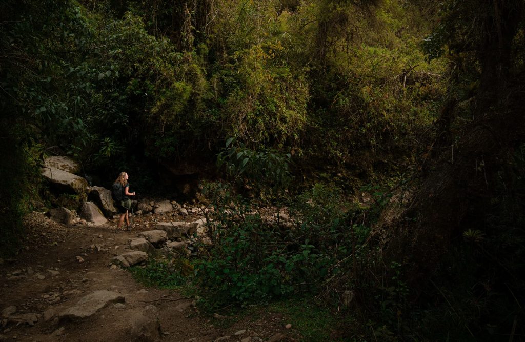 Una persona solitaria camina por un sendero panorámico rodeado de árboles en un frondoso bosque, un entorno perfecto para quienes se inician en el senderismo.