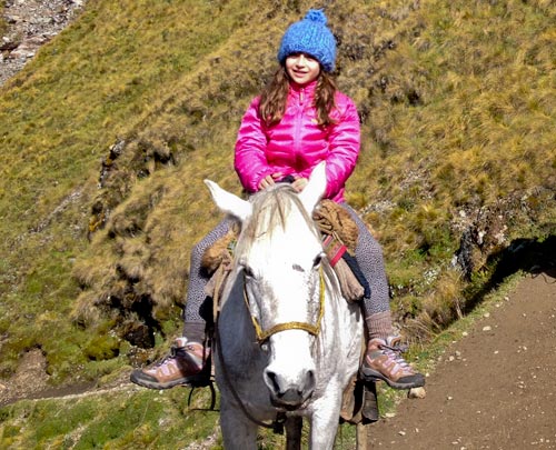 Caballos para excursiones: