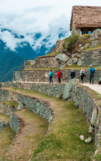 Grupo de turistas explorando las históricas terrazas de cultivo en la Ciudadela Inca de Machu Picchu.