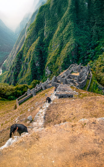 Fotografía panorámica del impresionante sitio arqueológico de Wiñay Wayna, una parada clave en el Camino Inca.