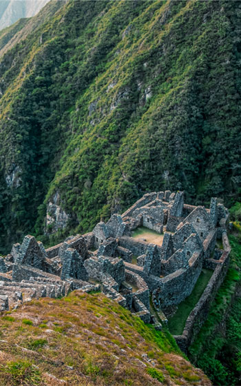 El sitio arqueológico de Wiñay Wayna, impresionante complejo Inca en el Camino Inca a Machu Picchu, rodeado de vegetación exuberante.