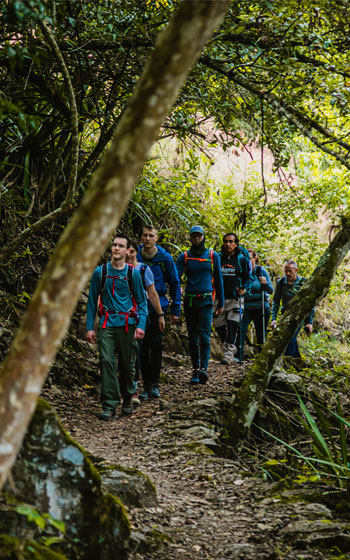 Grupo de turistas caminando a través de la exuberante selva andina en el Inca Jungle Trail, disfrutando de la aventura hacia Machu Picchu.