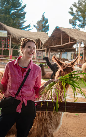 Turista interactuando y alimentando una llama en el centro de conservación y artesanal Manos de la Comunidad, cerca de Cusco.