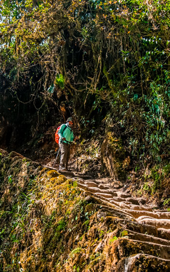 Turista caminando sobre los famosos y bien conservados escalones de piedra originales del Camino Inca.