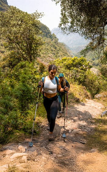 Grupo de turistas caminando por el sendero de la selva andina, siguiendo la ruta hacia la ciudadela Inca de Machu Picchu.
