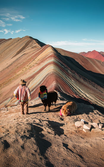 Vista panorámica de la Montaña de Colores con una persona y dos llamas, rodeados del impresionante paisaje multicolor de los Andes peruanos.