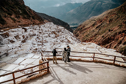Llamas en Vinicunca Montaña de Colores en Peru
