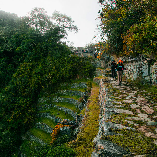 Grupo de turistas caminando por Inti Punku rumbo a Machu Picchu, disfrutando de impresionantes vistas de la ciudadela inca y los paisajes andinos.