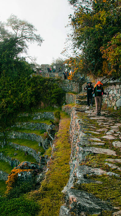 Grupo de turistas caminando por Inti Punku rumbo a Machu Picchu, disfrutando de impresionantes vistas de la ciudadela inca y los paisajes andinos.