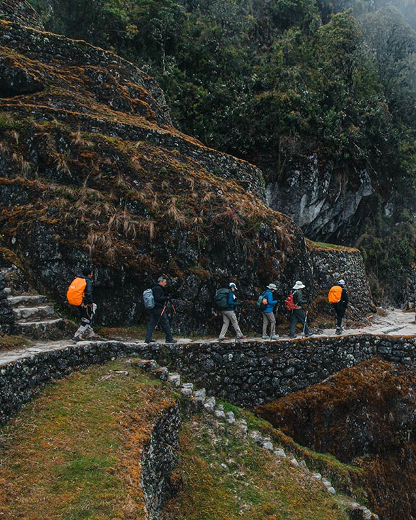 Disponibilidad Camino Inca