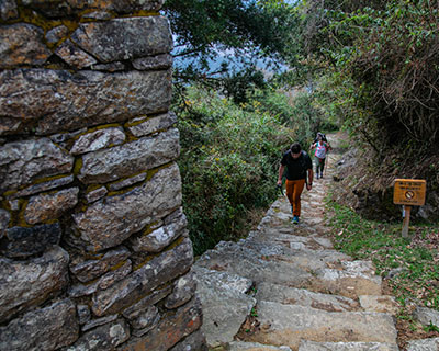 Caminata al Santuario Histórico de Machu Picchu