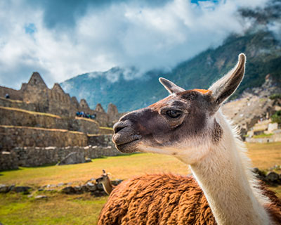 El santuario de machu picchu