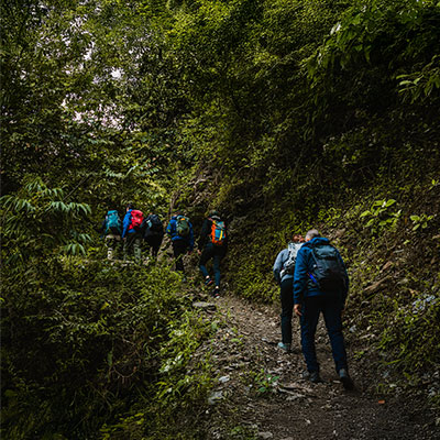 Grupo de turistas caminando por senderos rodeados de vegetación tropical y neblina en el bosque nuboso andino durante el Inca Jungle Trek.