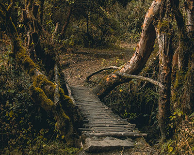Tu expedición inca comienza aquí en el bosque nuboso del clásico Camino Inca
